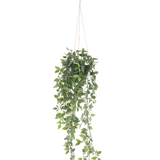 De Kunst hangplant Scindapsus in pot 73 cm heeft weelderige groene bladeren en lange slingerende ranken, opgehangen aan dun touw tegen een effen witte achtergrond.
