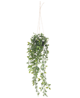De Kunst hangplant Scindapsus in pot 73 cm heeft weelderige groene bladeren en lange slingerende ranken, opgehangen aan dun touw tegen een effen witte achtergrond.