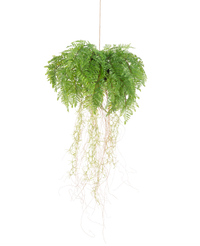 Kunst hangplant Varen met wortels d35 cm met hangsysteem