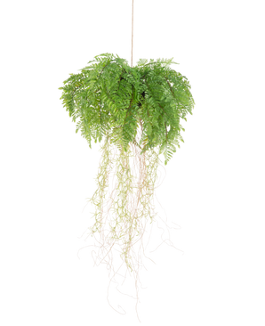 De Kunst hangplant Varen met wortels d35 cm met hangsysteem heeft lange, dunne wortels en hangt onderhoudsvrij aan een touwtje tegen een witte achtergrond.