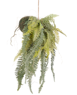 De Kunst hangplant Frosted Varen op bal 97 cm heeft sierlijke, lange groene bladeren die uit een met mos bedekte bol aan een dun touw hangen. Een stijlvolle, onderhoudsvrije kamerplant die perfect past in elk interieur.