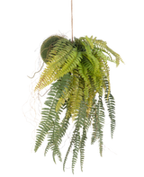 De Kunst hangplant Varen op bal 63 cm heeft weelderige, overhangende groene bladeren en delicate blaadjes. Hangend aan een dun touwtje tegen een witte achtergrond is het de perfecte onderhoudsvrije hangplant voor elke ruimte.