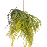 De Kunst hangplant Varen op bal 26 cm heeft levensechte groene bladeren in een met mos bedekte bol, opgehangen aan een touwtje - een ideaal decoratief stuk voor elk interieur tegen een witte achtergrond.