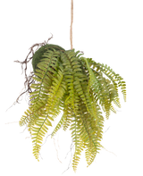 De Kunst hangplant Varen op bal 26 cm heeft levensechte groene bladeren in een met mos bedekte bol, opgehangen aan een touwtje - een ideaal decoratief stuk voor elk interieur tegen een witte achtergrond.