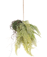 De Kunst hangplant Frosted Varen op bal 76 cm heeft levensechte groene varenbladeren en blootliggende wortels in kokedama stijl, hangend aan een bruin koord - perfect om blijvend groen toe te voegen aan elke kamer.