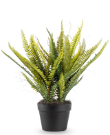 De Kunstplant Boston Varen 53 cm heeft lange, slanke groene bladeren in een zwarte pot, tegen een effen witte achtergrond.