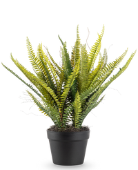 Kunstplant Boston Varen 53 cm