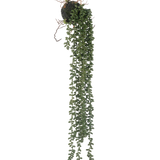 De Kunst hangplant Senecio bal 58 cm heeft lange, slingerende groene ranken met kleine ronde bladeren die aan een mosbal hangen, tegen een witte achtergrond.