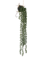 De Kunst hangplant Senecio bal 58 cm heeft lange, slingerende groene ranken met kleine ronde bladeren die aan een mosbal hangen, tegen een witte achtergrond.