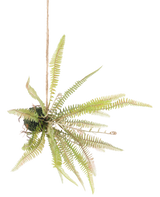 De Kunst hangplant varen bal 45 cm heeft lange, slanke groene bladeren die naar buiten steken en is opgehangen met touw tegen een effen witte achtergrond.