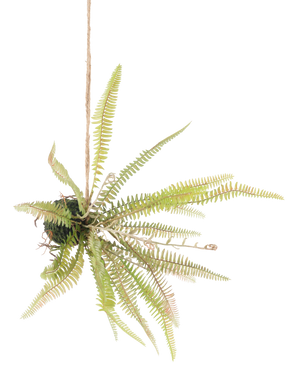 De Kunst hangplant varen bal 45 cm heeft lange, slanke groene bladeren die naar buiten steken en is opgehangen met touw tegen een effen witte achtergrond.