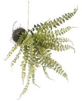 De Kunst hangplant Varen bal 45 cm heeft slepende groene varenachtige bladeren en hangt aan een touwtje, perfect om uit te stallen tegen een witte achtergrond.
