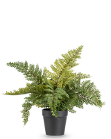 De Kunstplant Varen 33 cm is een weelderig groene kunstvaren met gevederde bladeren in een eenvoudige zwarte pot, afgebeeld tegen een effen witte achtergrond.