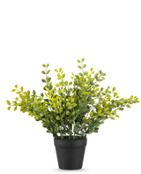 De Kunstplant Theebladeren 25 cm is een klein groen bladplantje met gele bladeren in een eenvoudige zwarte pot, op een effen witte achtergrond.