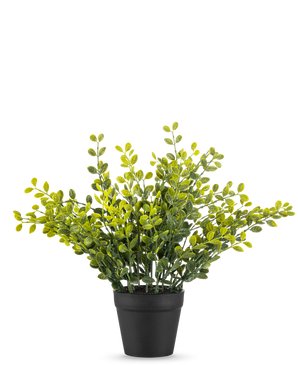 De Kunstplant Theebladeren 25 cm is een klein groen bladplantje met gele bladeren in een eenvoudige zwarte pot, op een effen witte achtergrond.