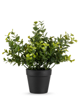 De Kunstplant Pumila 20 cm is een kleine kunstplant in pot met ronde groene bladeren in een eenvoudige zwarte pot, weergegeven op een effen witte achtergrond.