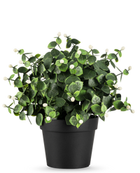 Kunstplant Eucalyptus wit in pot UV 22 cm