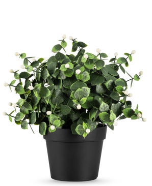 De Kunstplant Eucalyptus wit in pot UV 22 cm heeft dichte groene bladeren en kleine witte knoppen in een eenvoudige zwarte pot, perfect om elke ruimte op te fleuren.