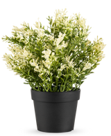 De Kunstplant Buxus in pot UV 23 cm is een kleine kunstplant in pot met dicht groen blad in een eenvoudige zwarte pot, perfect om elke ruimte op te fleuren.