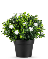 De Kunstplant Pumila in pot UV 21cm is een kleine kunstplant met dichte groene bladeren en delicate witte bloemen, in een eenvoudige zwarte pot tegen een effen witte achtergrond.