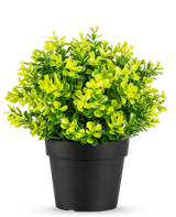 De Kunstplant Rozemarijn UV 22 cm heeft heldergroene en gele bladeren in een effen zwarte plastic pot, tegen een witte achtergrond.