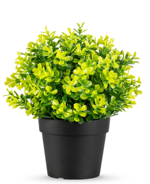 De Kunstplant Rozemarijn UV 22 cm heeft heldergroene en gele bladeren in een effen zwarte plastic pot, tegen een witte achtergrond.