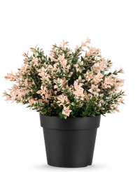 Kunstplant Buxus roze UV 22 cm