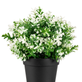 De Kunstplant Buxus wit in pot UV 19 cm heeft dichte groene bladeren en talrijke witte bloemen, gerangschikt in een eenvoudige zwarte pot tegen een effen witte achtergrond.