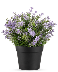 Kunstplant Buxus paars UV 22 cm