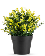 De Kunstplant Buxus geel in pot UV 19 cm heeft kleine groene en gele bladeren in een eenvoudige zwarte pot, tegen een effen witte achtergrond.
