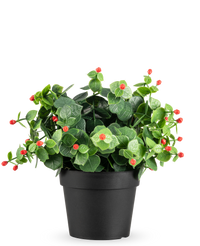 Kunstplant Eucalyptus rood in pot UV 22 cm