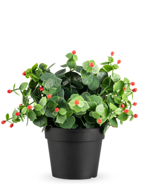 De Kunstplant Eucalyptus rood in pot UV 22 cm heeft groene bladeren en kleine rode knoppen in een eenvoudige zwarte pot, tegen een effen witte achtergrond.
