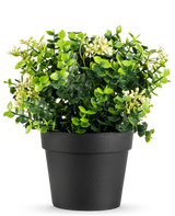 De Kunstplant Eucalyptus mix UV 22 cm heeft heldergroene bladeren en kleine witte bloemen in een eenvoudige zwarte pot, tegen een witte achtergrond.