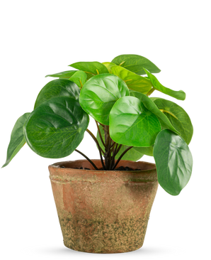De Kunstplant Pilea in pot mini UV 15 cm heeft ronde, glanzend groene bladeren in een verweerde bruine terracotta pot, tegen een effen witte achtergrond.