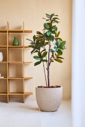 De Kunstplant Yulaniaboom 180 cm, met grote groene bladeren, staat op een lichte vloer naast een houten schap met een groene vaas en wit item, tegen een beige muur in een moderne, minimale kamer.