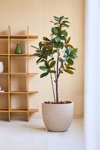 De Kunstplant Yulaniaboom 180 cm, met grote groene bladeren, staat op een lichte vloer naast een houten schap met een groene vaas en wit item, tegen een beige muur in een moderne, minimale kamer.