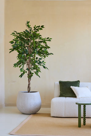 Een Kunstplant Ficus Groen 180 cm in een sierpot staat naast een wit gestoffeerde bank met groene en witte kussens en een klein groen tafeltje, in een minimalistische woonkamer met neutrale muren en een beige vloerkleed.