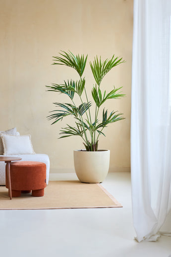 De Kunstplant Kentia Palm 180 cm staat op een bruin vloerkleed naast een witte bank met kussens en een kleine ronde oranje voetenbank in een lichte, minimalistische kamer met transparante witte gordijnen.