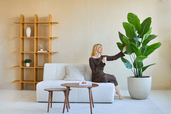 Een vrouw in een bruine jurk zit op een witte bank, glimlacht en houdt een drankje vast terwijl ze de Kunstplant Strelitzia Real Touch Deluxe 180 cm aanraakt in een moderne, minimalistische woonkamer met houten planken en een salontafel.
