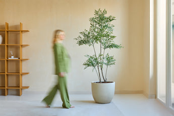 Een persoon in het groen loopt langs de Kunstplant Ruscus 180 cm, een hoge potplant in een minimalistische kamer met lichte muren, een raam en een houten plank. De figuur lijkt vaag in beweging.