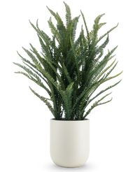 Kunstplant Bostonvaren 127 cm