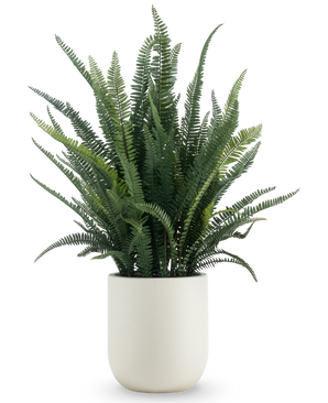 De Kunstplant Varenblad 102 cm heeft weelderige groene varenvaren en wordt geleverd in een eenvoudige witte ronde pot, tegen een effen witte achtergrond.