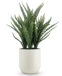 Kunstplant Bostonvaren 82 cm