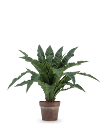 Kunstplant Nestvaren 61 cm