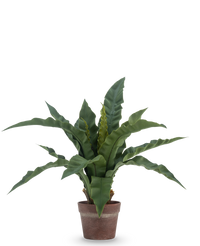 Kunstplant Nestvaren 49 cm