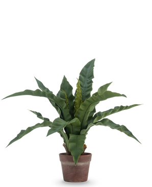 De Kunstplant Nestvaren 49 cm heeft lange, golvende groene bladeren in een bruine kleipot, tegen een effen witte achtergrond.
