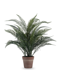Kunstplant Phoenixvarenblad 61 cm
