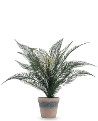 Kunstplant Phoenixvarenblad 39 cm