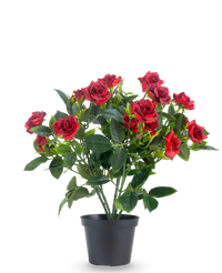 Kunstplant Patio-roos 35 cm rood/zwart