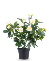 De Kunstplant Patio-roos 35 cm crème UV bestaat uit meerdere stelen, groene bladeren en diverse crèmekleurige rozen in bloei, allemaal geplaatst in een pot tegen een effen witte achtergrond.